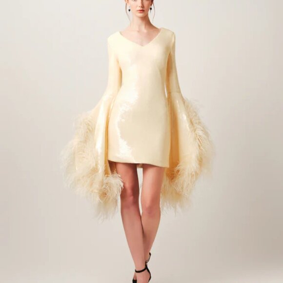 RVNG Dresses & Skirts - RVNG - "KATE" Evening Dress - Ivory With Ostrich Feathers - Size 2 - NEW